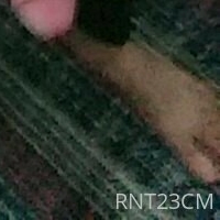 rnt23cm Desnuda
